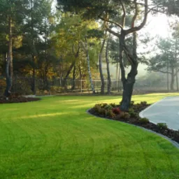 Zadbany trawnik z kostką obrzeżową i ścieżką z kostki brukowej w ogrodzie z drzewami i metalowym ogrodzeniem w tle, oświetlony porannym słońcem.