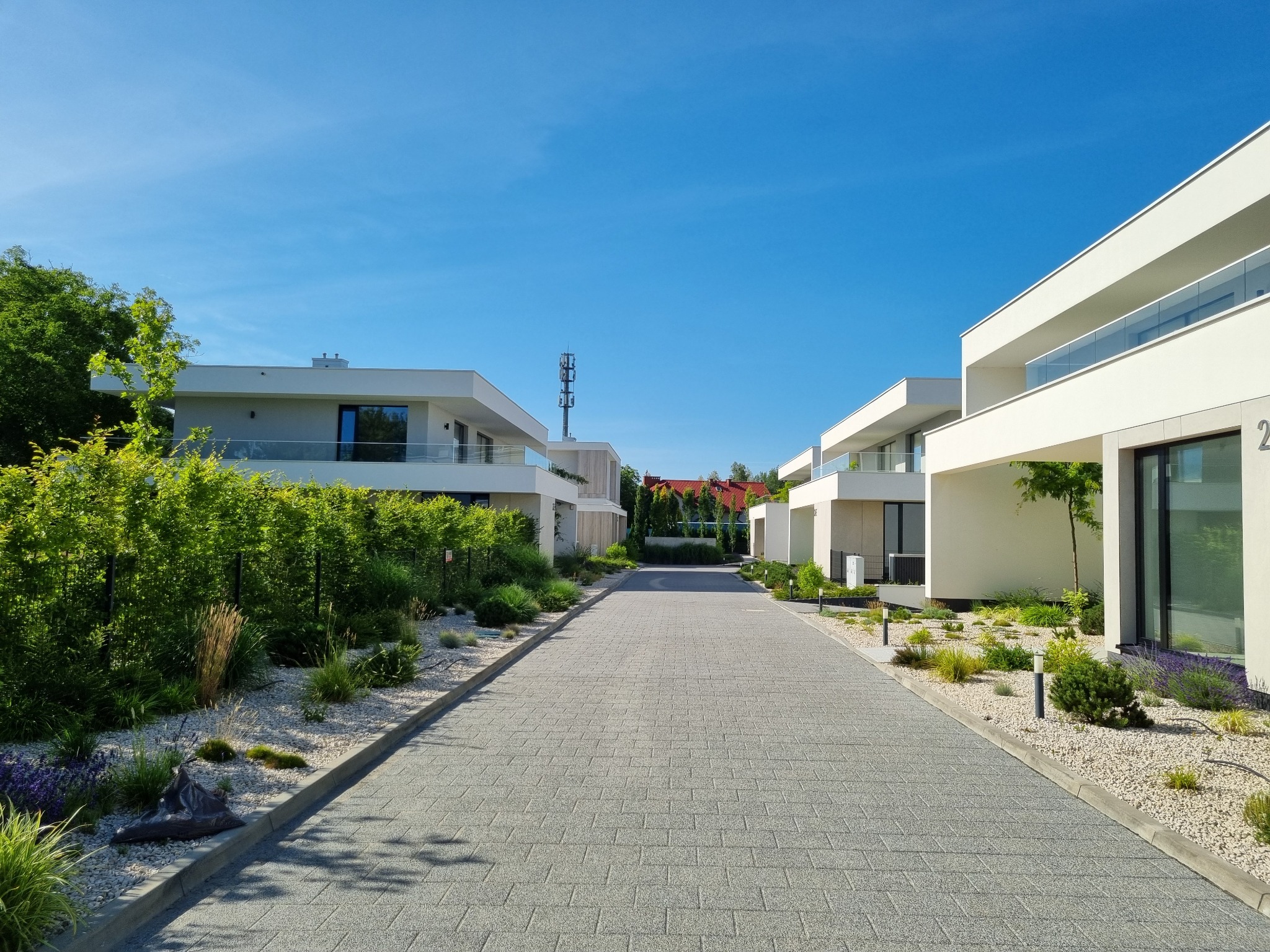 Osiedle domów jednorodzinnych z szarej kostki brukowej, z zadbaną zielenią i niskimi lampami wzdłuż drogi, w słoneczny dzień.