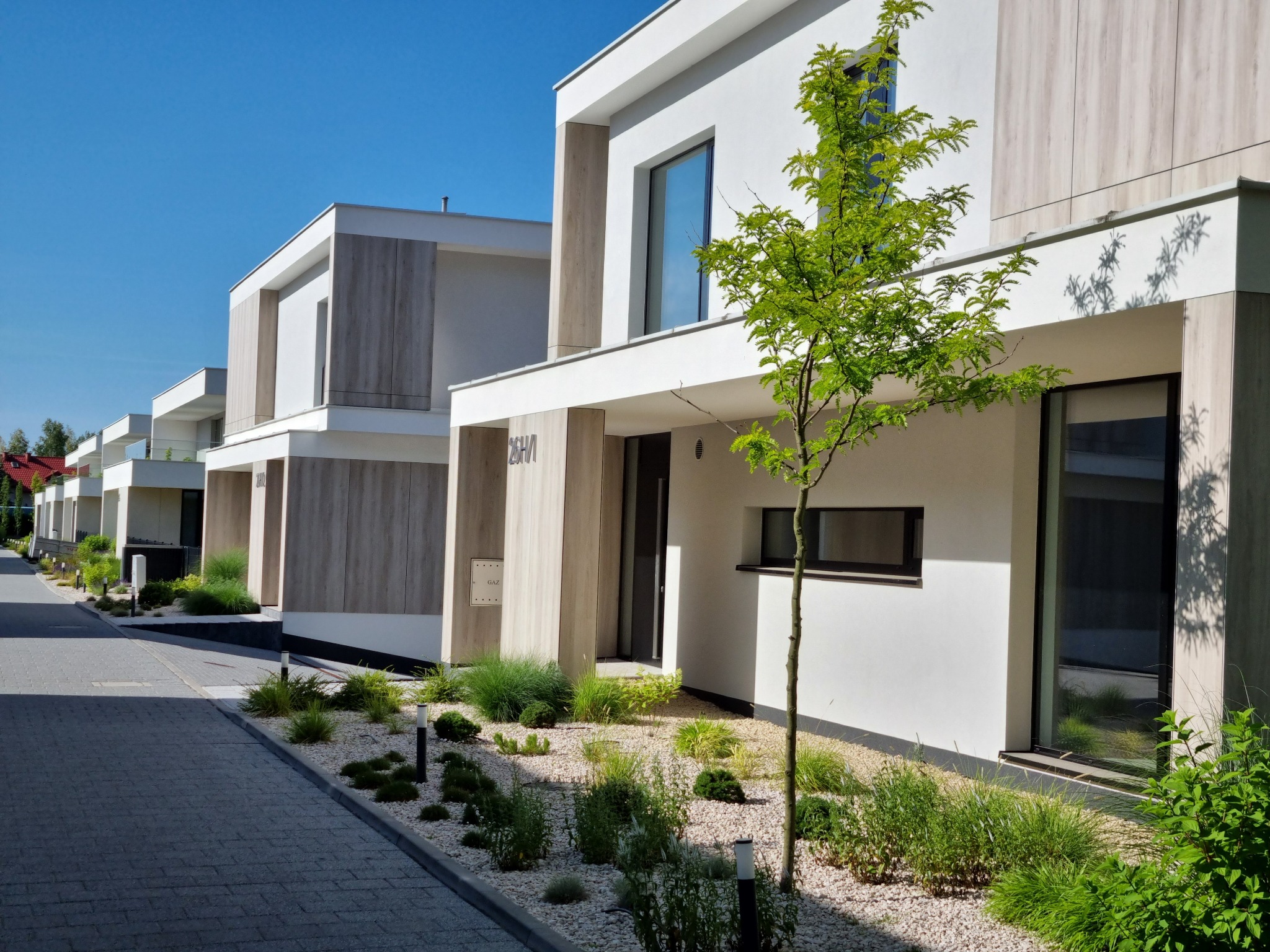 Szereg nowoczesnych domów z minimalistyczną zielenią: trawy ozdobne i młode drzewo. Chodnik z kostki brukowej prowadzi wzdłuż fasad.