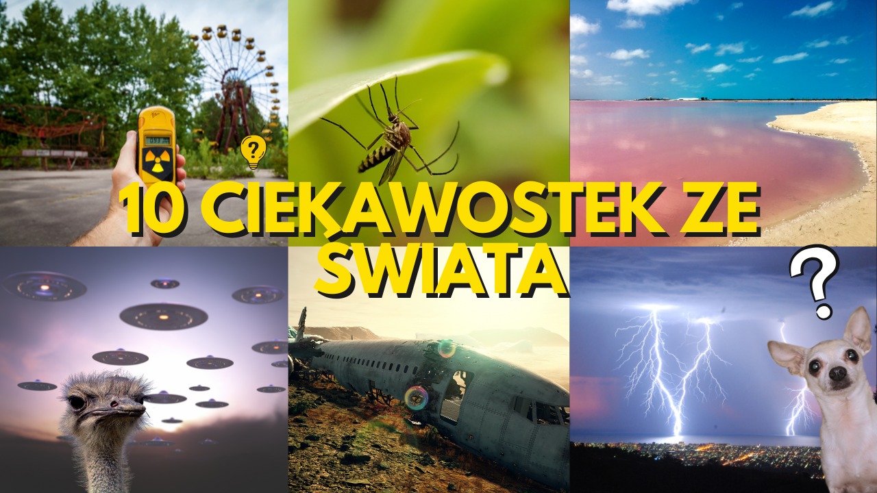 Kompozycja z dziewięciu zdjęć przedstawiających różne ciekawostki ze świata, z tekstem '10 ciekawostek ze świata' na środku. U góry: Czarnobyl, komar, różowe jezioro. Dół: struś, samolot, burza.
