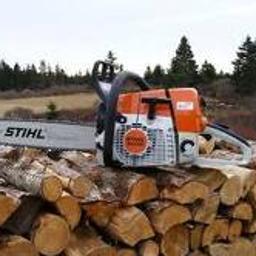 Wycinanie i cięcie drzew Poznań i okolice