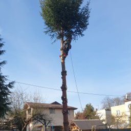 Grzegorz Stów - Wycinka Drzew Koszalin