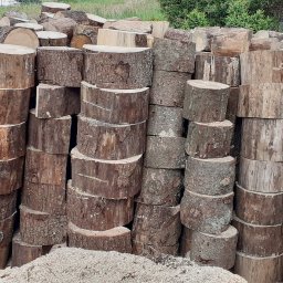 Wycinka drzew Koszalin 3