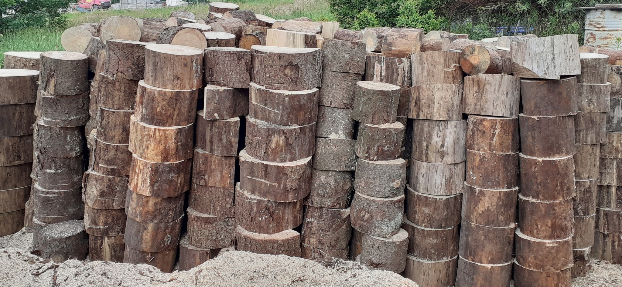 Stos pociętych pni drzew ułożonych w rzędach, widoczne ślady po cięciu, w tle zieleń. Usługi ogrodnicze w Koszalinie.