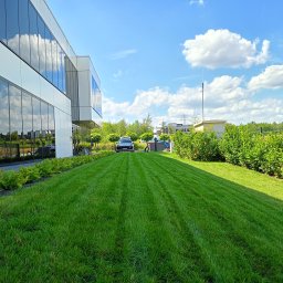 Rajski Ogród Łukasz Zych - Urządzanie Ogrodów Radłów