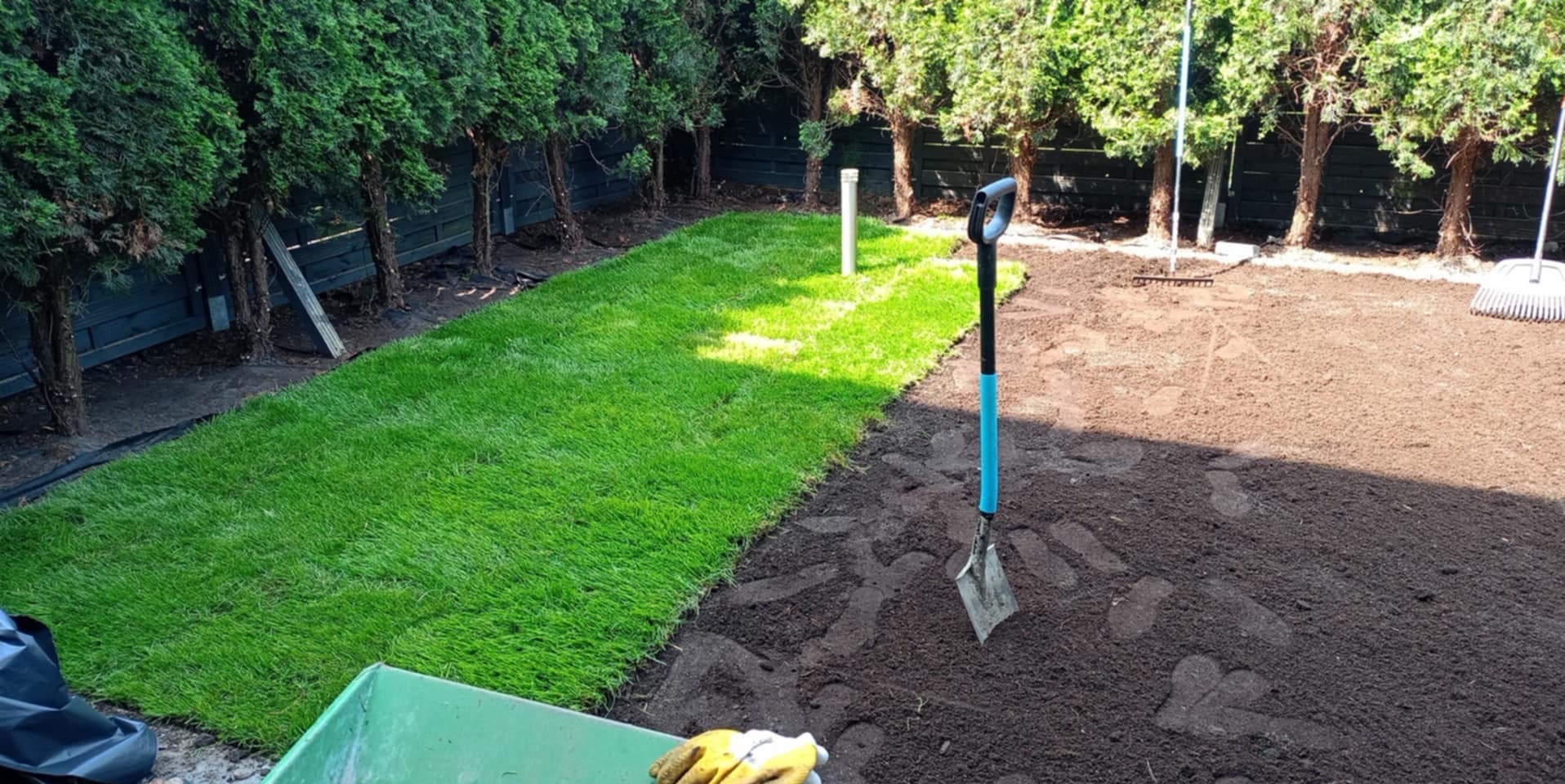 Fragment ogrodu w Radłowie z ułożoną trawą z rolki, przygotowany teren, narzędzia ogrodnicze i tuje w tle. Świeżo założony trawnik.