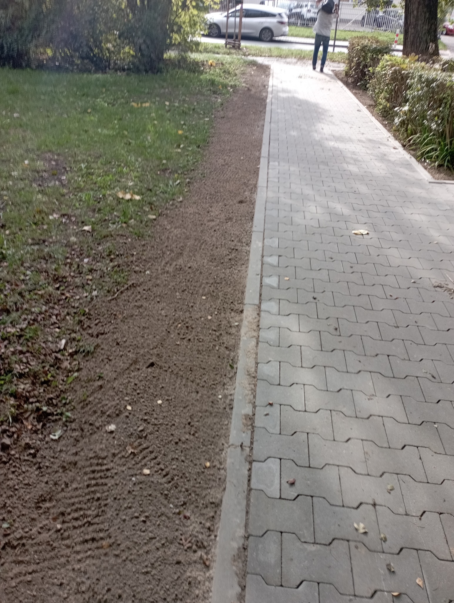 Przygotowany teren pod trawnik sąsiadujący z chodnikiem z kostki, widoczne ślady po bronowaniu. W tle zieleń, drzewa i zaparkowane samochody.