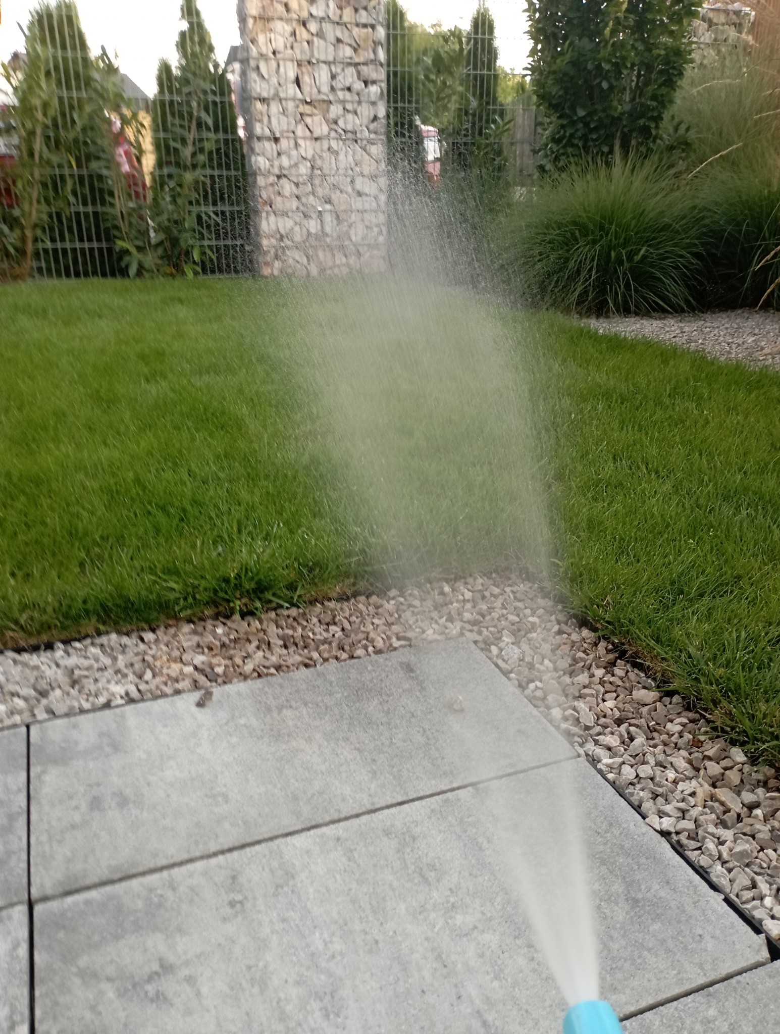Nawadnianie trawnika zraszaczem w ogrodzie z kamienną ścianą i wybrukowaną ścieżką. Świeżo skoszona trawa, ozdobne kamienie i rośliny.