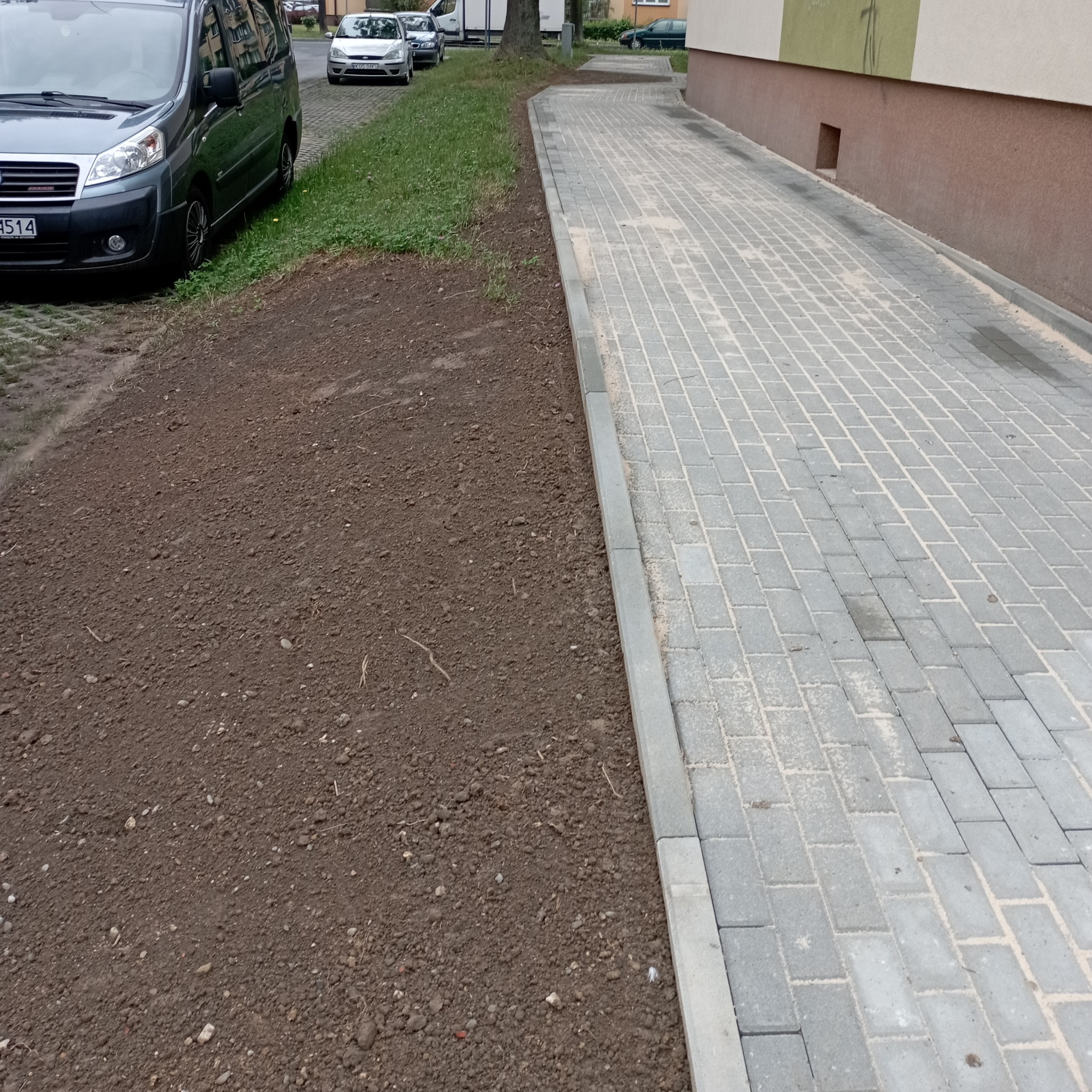 Przygotowany teren pod trawnik obok chodnika z kostki brukowej, zaparkowany samochód w tle, widok z poziomu gruntu.