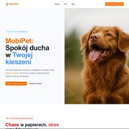 Tworzenie stron internetowych Kraków 2