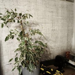 Malowanie mieszkań Łańcut 4