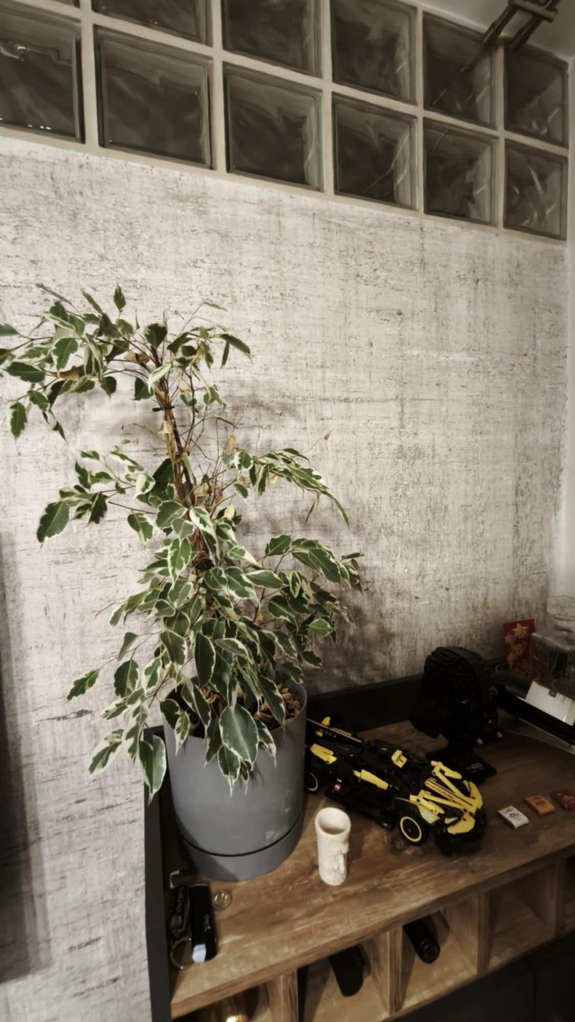 Ściana z bloków szklanych nad gładzią, obok roślina w szarej doniczce i zabawki na drewnianej półce. W tle widoczny fragment sufitu.