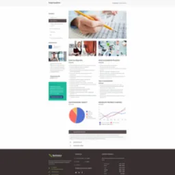 Strona internetowa dla biura rachunkowego