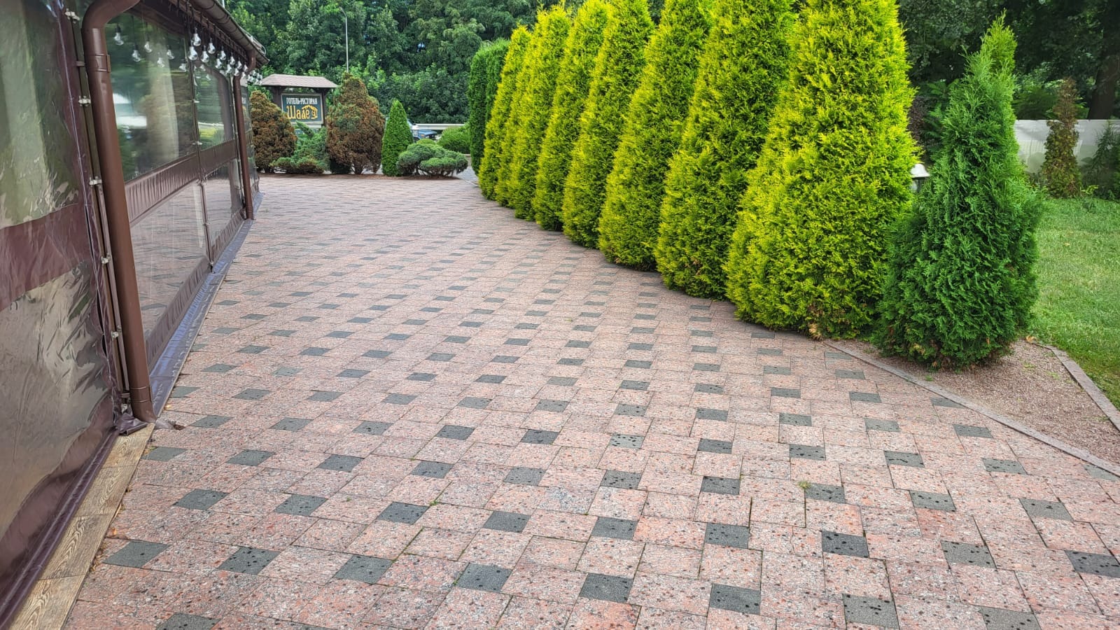 Ułożona kostka brukowa w geometryczny wzór, z rzędem tuj przy ścieżce. Widok na zewnątrz z zadaszonego tarasu. Ciekawa kompozycja kolorystyczna kostki.