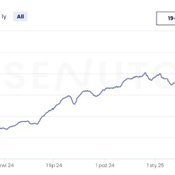 Fibinco działanie na kliencie wzrost Senuto top 50