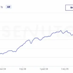 Fibinco działanie na kliencie wzrost Senuto top 50
