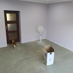 Le-Ma Bud Tomasz Gibas - Świeżo pomalowane na liliowo ściany pokoju z brązowymi drzwiami, wentylatorem i kartonem na podłodze. Kot wchodzi do pokoju. Widok na wykończone wnętrze.