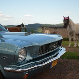 Sesję samochodowe :P