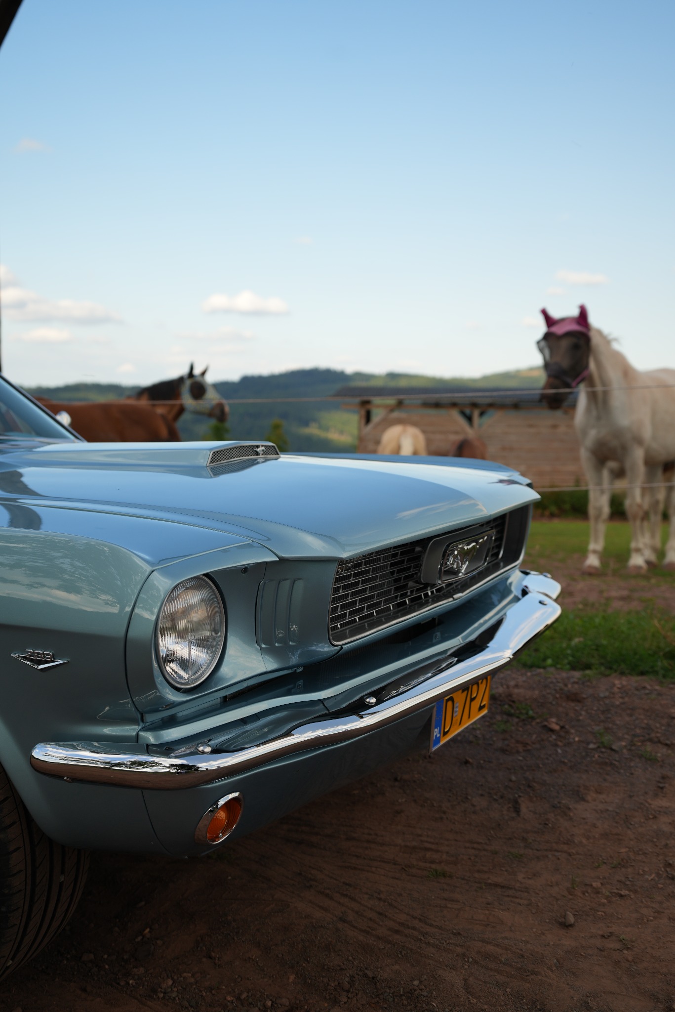 Sesję samochodowe :P