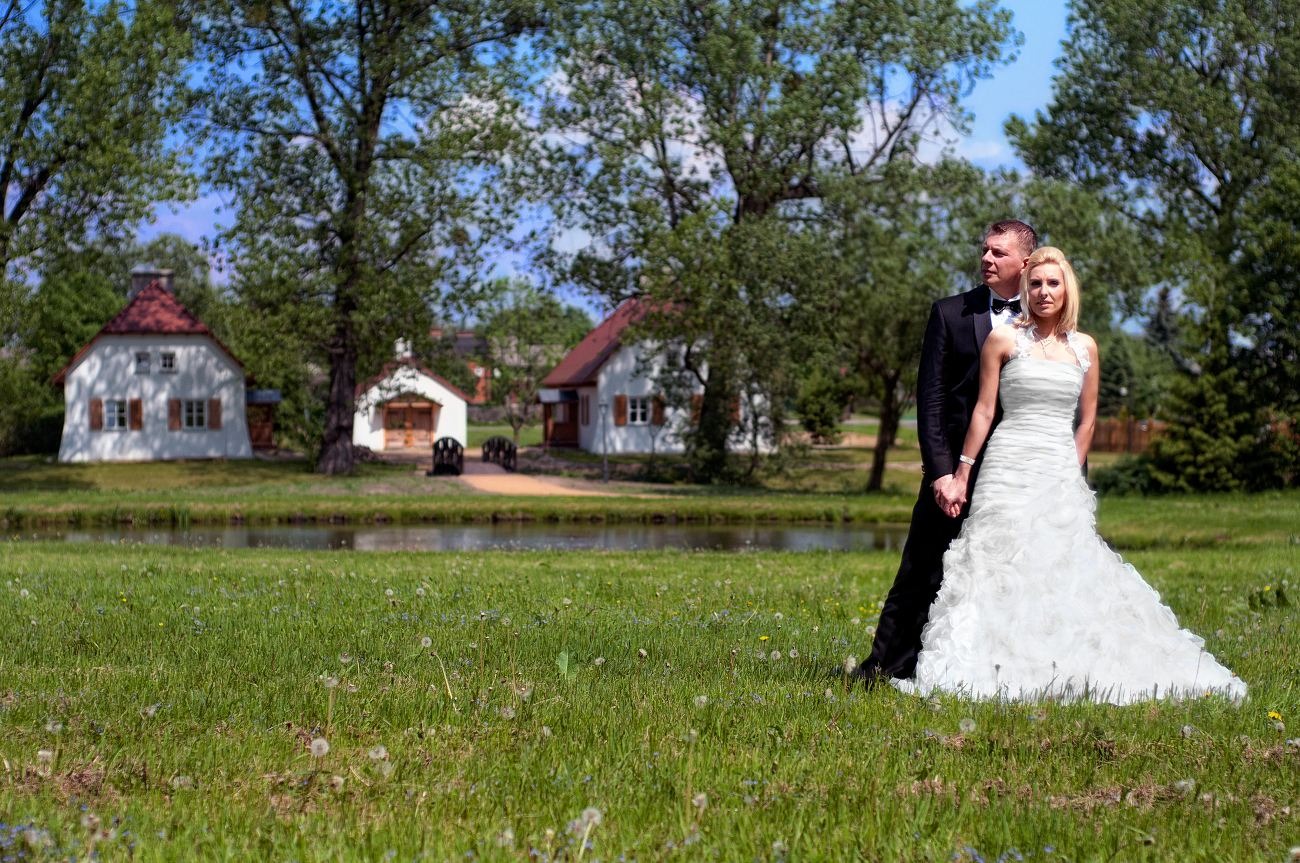 Para młoda w plenerze: Panna młoda w białej sukni, pan młody w smokingu, trzymają się za ręce na tle zielonej łąki i malowniczego krajobrazu z domkami.