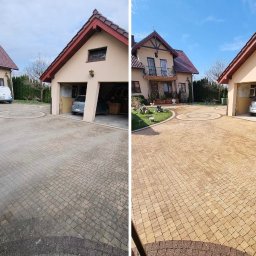 Wycinka drzew Wrocław 2