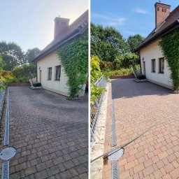 Wycinka drzew Wrocław 3