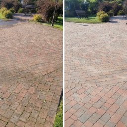 Wycinka drzew Wrocław 4