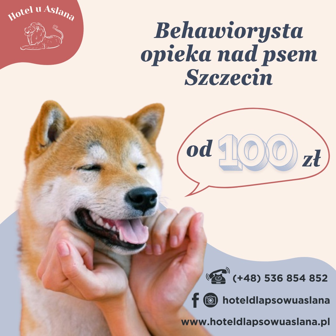 Grafika reklamowa: Shiba Inu 'uśmiecha się', dłonie delikatnie rozciągają mu pysk. Informacja o behawioryście i opiece nad psem w Szczecinie, cena od 100 zł.