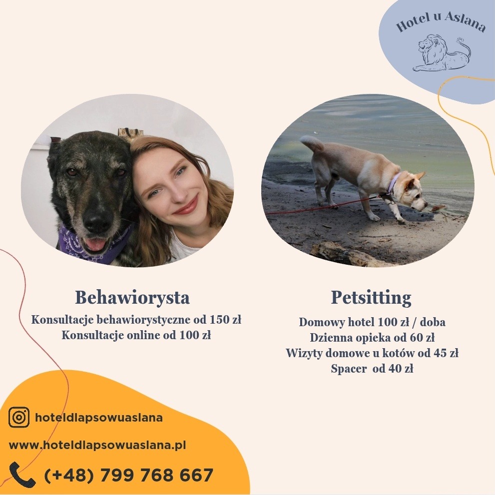 Oferta usług dla zwierząt: behawiorysta z uśmiechniętą kobietą i pies podczas spaceru nad wodą. Petsitting i konsultacje behawioralne.