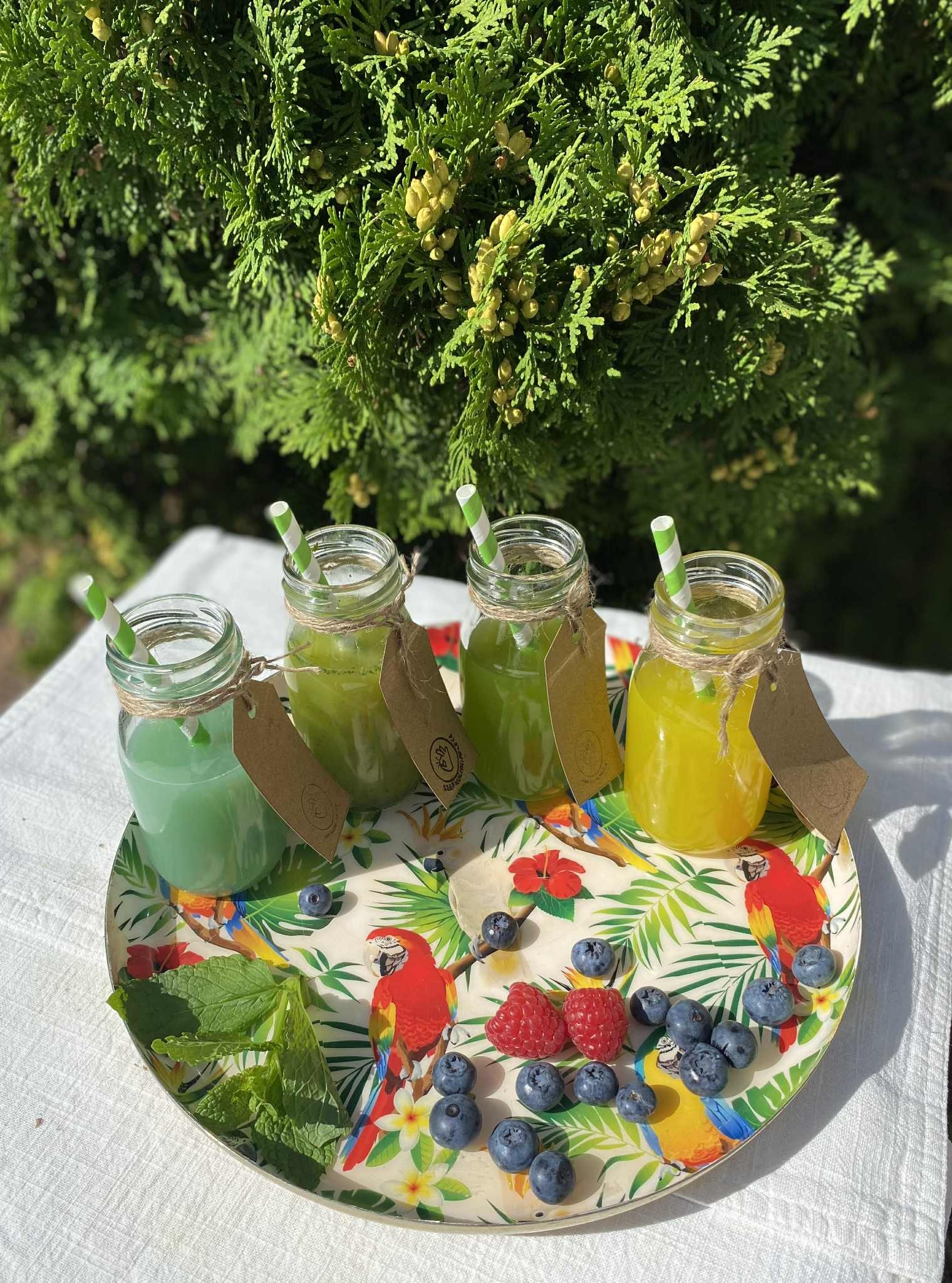 Cztery słoiczki z kolorowymi napojami, ozdobione sznurkiem i etykietami, na tacy z motywem papug, udekorowanej borówkami, malinami i miętą, na tle zieleni.