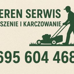 Wycinka drzew Goleniów 1