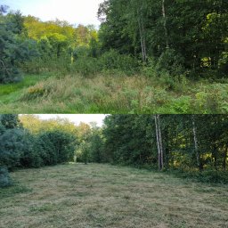 Zdjęcie 'przed i po' koszenia trawy na zarośniętej działce leśnej. Górna część ukazuje wysokie trawy i chwasty, dolna - krótko przystrzyżoną trawę.