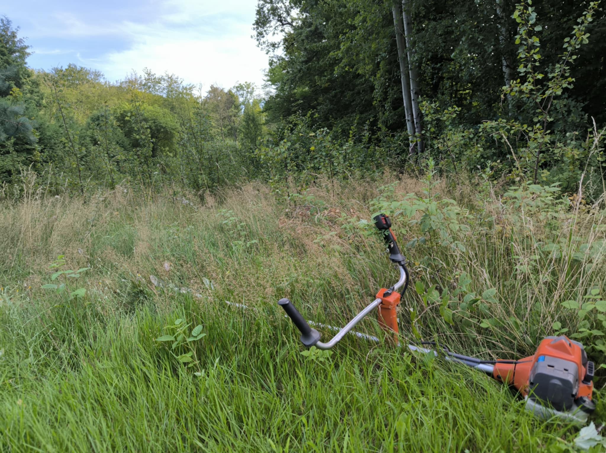 Pomarańczowa kosa spalinowa leży w wysokiej trawie na tle zarośli. Sprzęt ogrodniczy po pracy w terenie.