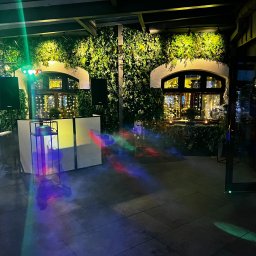 AS DESIGN ANNA SEMENIUK - Sala z DJ-ką, nagłośnieniem i oświetleniem, dekoracją roślinną na ścianach oraz oknami z girlandami świetlnymi, przygotowana na imprezę sylwestrową.