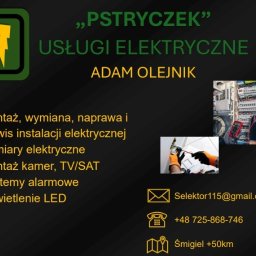 Pstryczek Adam Olejnik - Najlepsza Firma Oświetleniowa Kościan