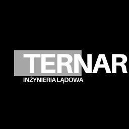TERNAR INŻYNIERIA LĄDOWA MARCIN TRZECIAK - Sumienny Kierownik Budowy Radomsko