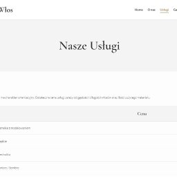 Tworzenie stron internetowych Strzelno 2