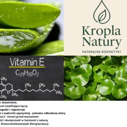 Bartosz Tokarczyk - Grafika z logo Kropla Natury, aloesem, wąkrotką azjatycką i wzorem witaminy E. Naturalne kosmetyki, siła trzech składników, serum nawilżające.