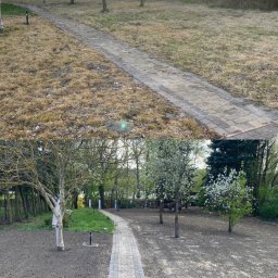 AGRIVELT SPÓŁKA Z OGRANICZONĄ ODPOWIEDZIALNOŚCIĄ - Zdjęcie 'przed i po' ukazujące metamorfozę ogrodu: zaniedbany trawnik zmienia się w przygotowany teren pod zasiew, z zachowaną ścieżką z kostki.