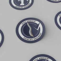 CLICK MADE KAROLINA WCISŁO - Kolekcja okrągłych naklejek Viva Medica z różnymi grafikami: kręgosłup, puchar, dłoń-szkielet, numer 1. Napis: Dzielny Pacjent, na szarym tle.