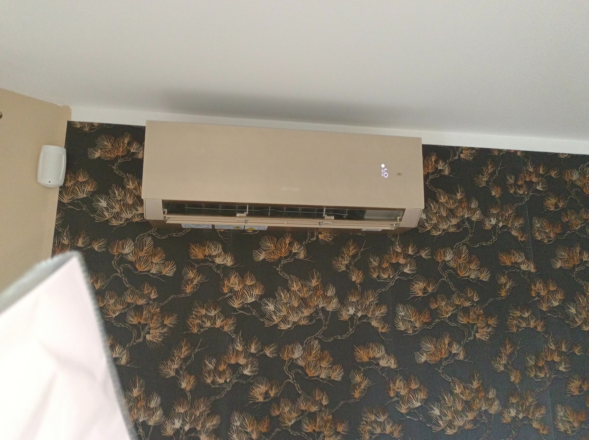 Niestandardowa kolorystyka.