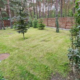 Koszenie trawy Warszawa 3