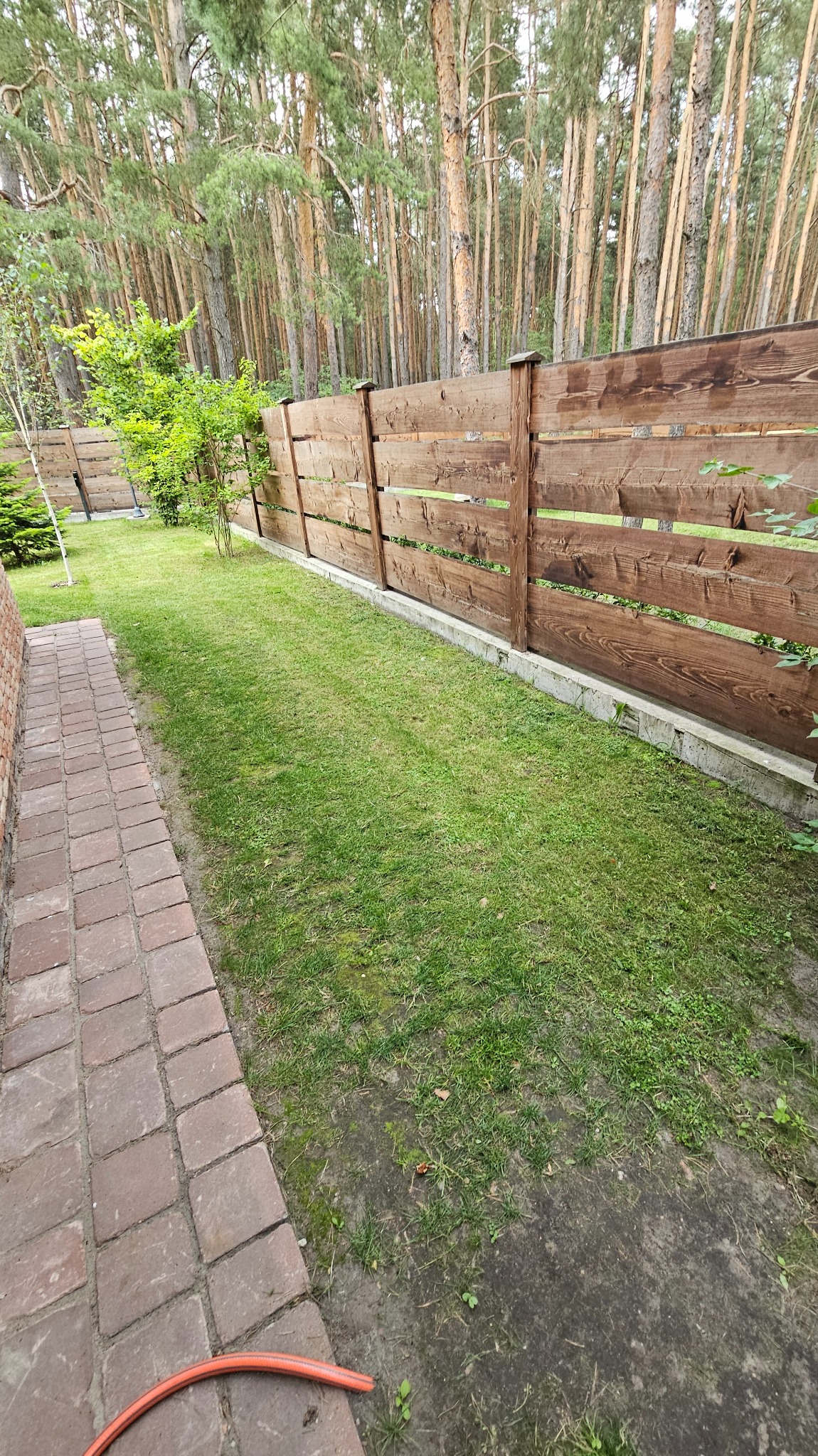 Zadbany trawnik z drewnianym ogrodzeniem w tle lasu. Widoczny fragment ceglanego chodnika i pomarańczowy wąż ogrodowy. Regularne koszenie trawy.