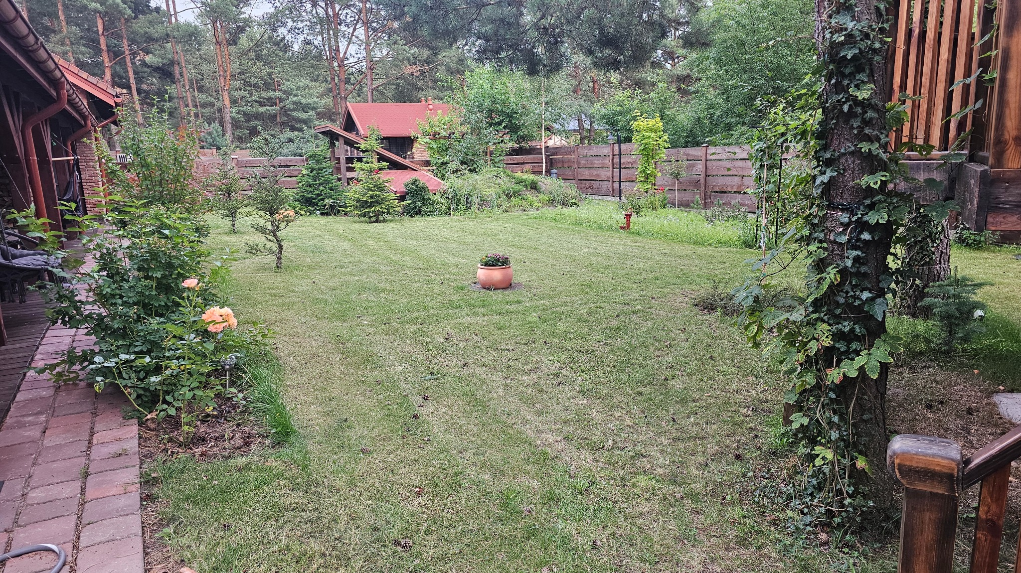 Zadbany trawnik z donicą na środku, otoczony drzewami i krzewami. Widoczny fragment drewnianego domu i ogrodzenia. Regularne ślady po koszeniu.