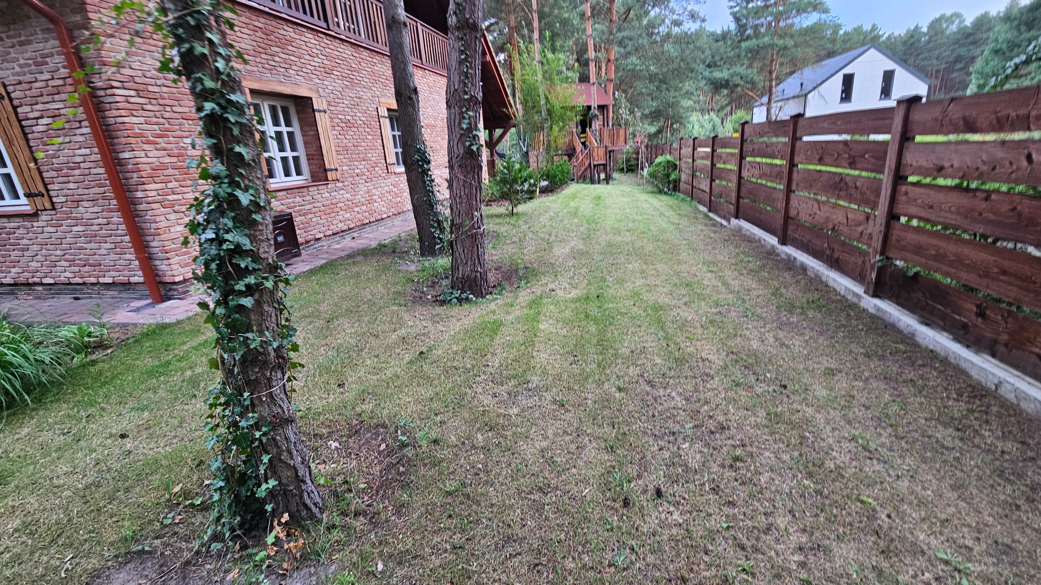 Wyraźny ślad po koszeniu trawy na posesji z drewnianym płotem i domem z czerwonej cegły w tle. Widoczne drzewa. Trawa częściowo wyschnięta.