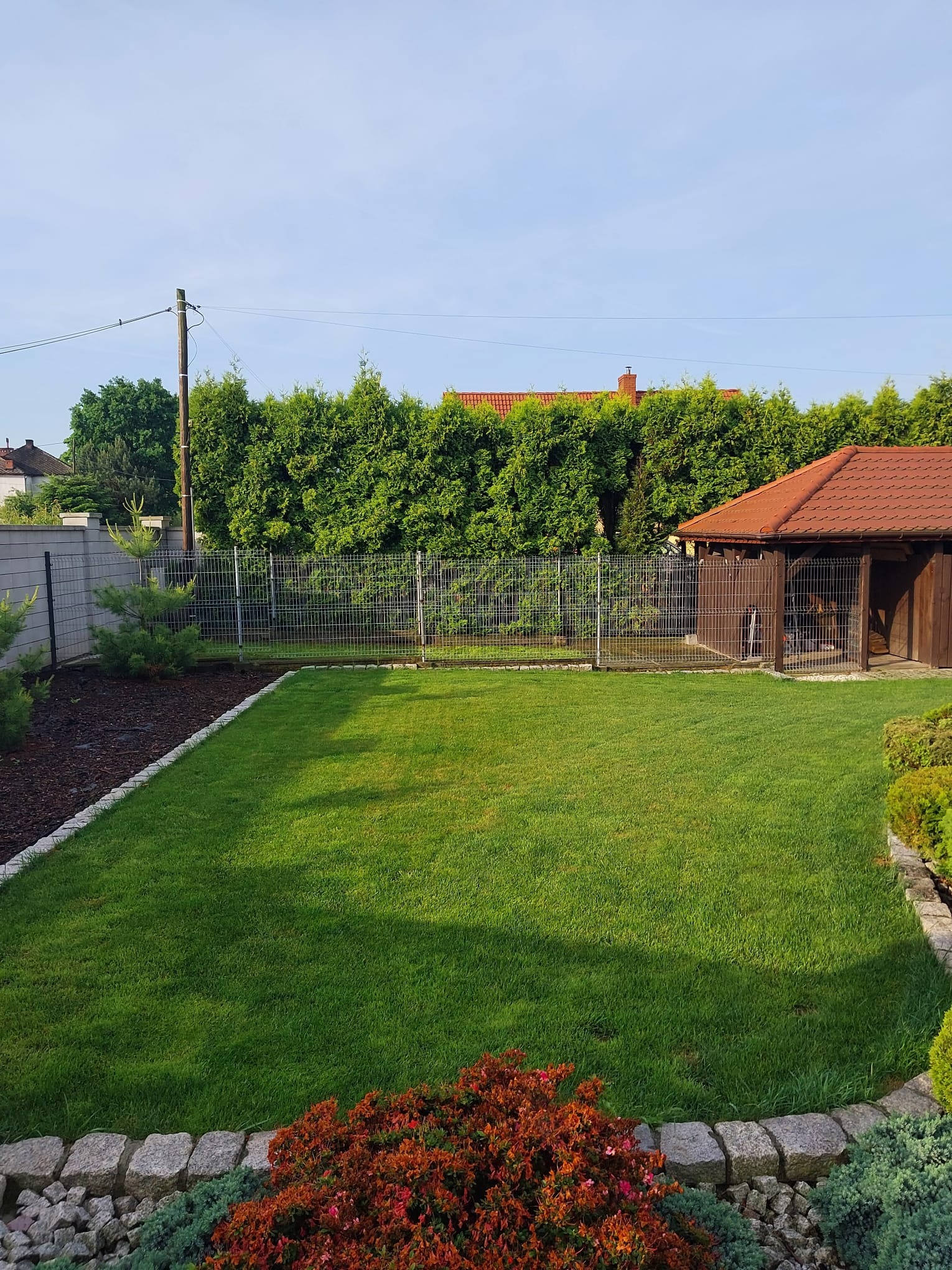 Zadbany trawnik z tujami w tle, ogrodzony siatką i kamiennym obrzeżem. Widoczna budka dla psa z czerwonym dachem. Słup elektryczny w tle.