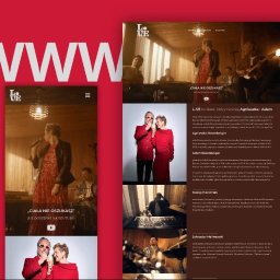 Tworzenie stron internetowych Pruszków 3