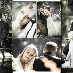 Laboratorium i Studio Fotograficzne RAW S.C. - Kolaż zdjęć ślubnych w sepii: para siedząca na ławce w parku, zbliżenia na twarze i ujęcia w plenerze z drzewem. Elegancka suknia panny młodej i klasyczny smoking pana młodego.