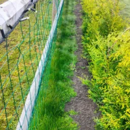 Siatka ogrodzeniowa z drewnianym słupkiem, ozdobiona lampkami, oddzielająca trawnik od rabaty z tujami. Perspektywa z góry, widoczne elementy oświetlenia.