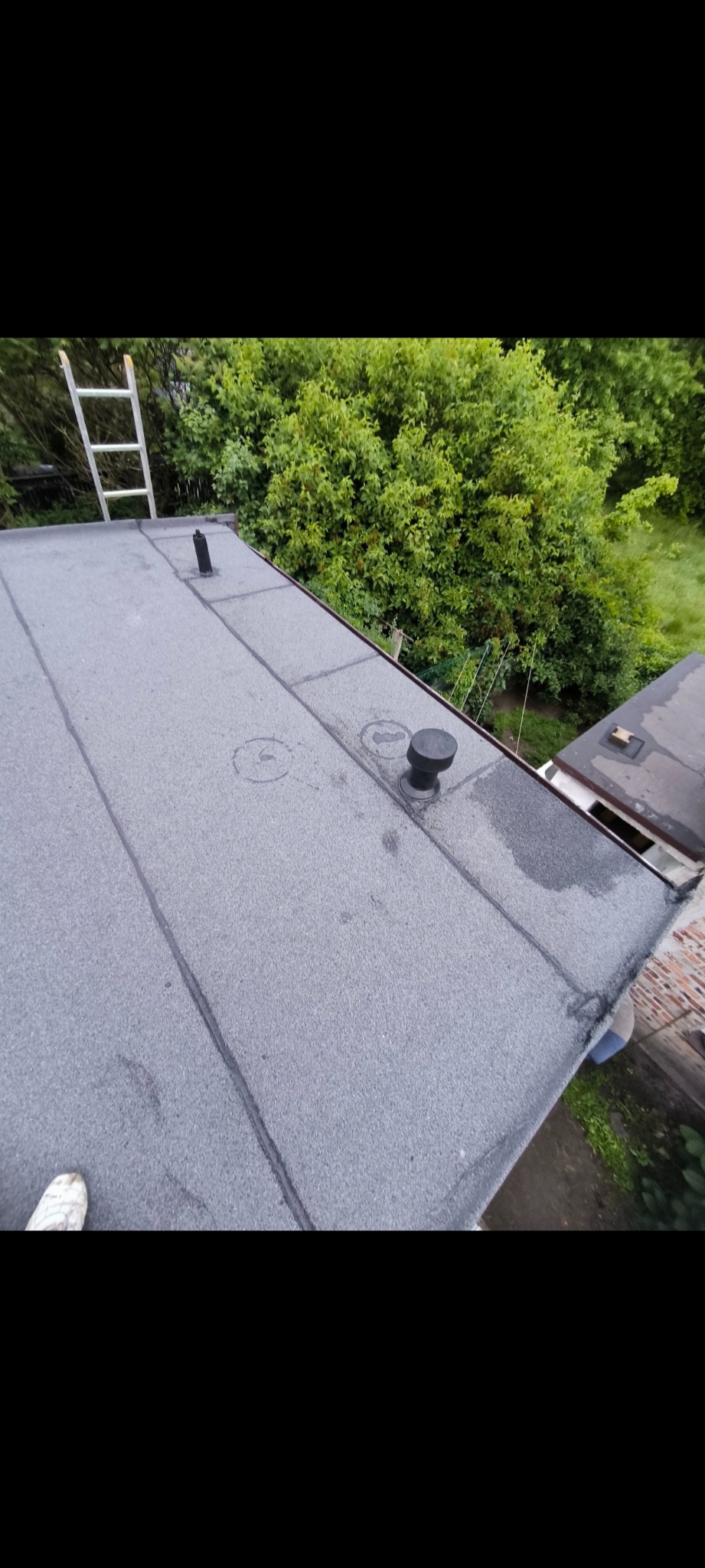 Szary, płaski dach pokryty papą z kominkami wentylacyjnymi. Z boku drabina i bujna zieleń. Widoczne ślady po naprawach.